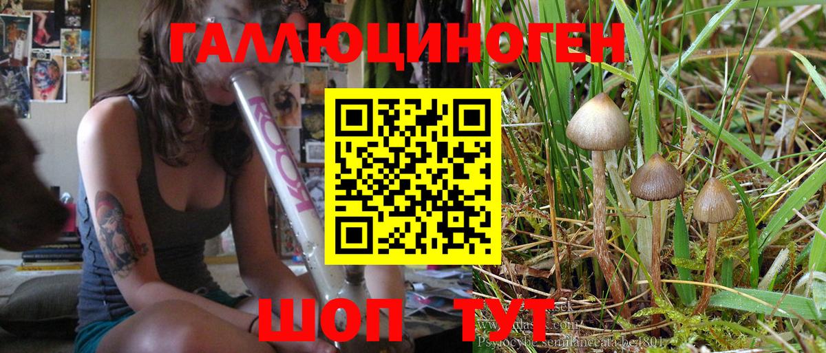 Елизово  Галлюциногенные грибы Psilocybe  Галлюциногенные грибы мухоморы  Вход с VPN 